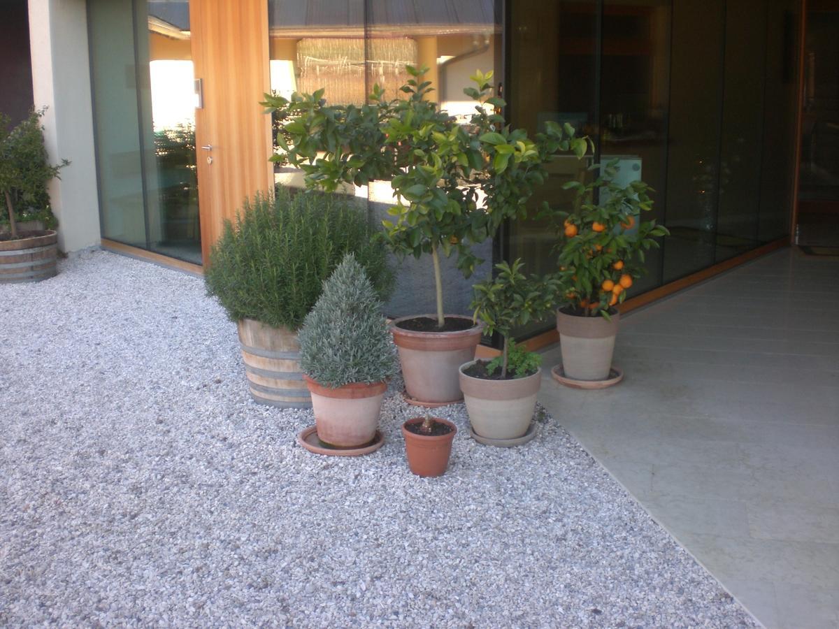 Biobauernhof St. Quirinus Apartment Калдаро Екстериор снимка